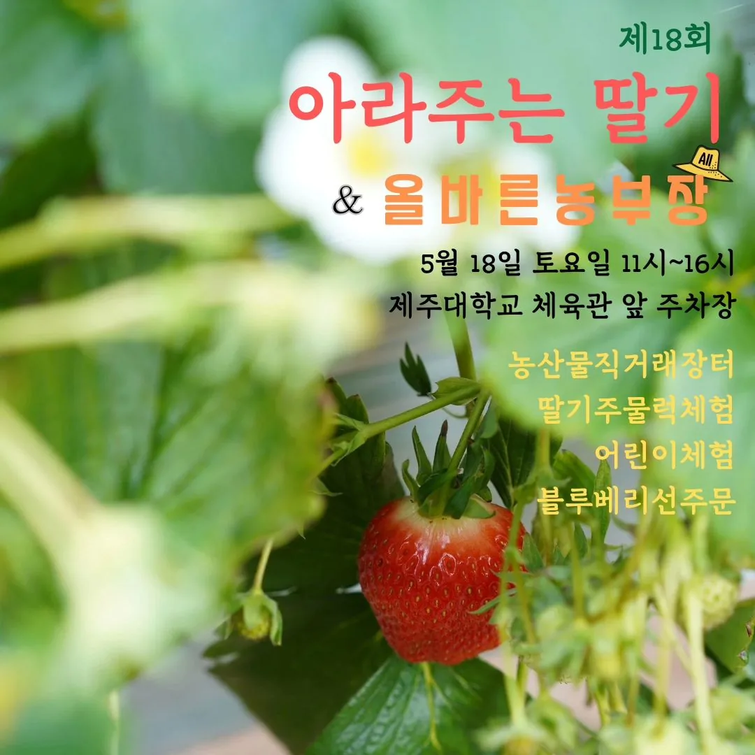 아라주는 딸기 & 올바른농부장