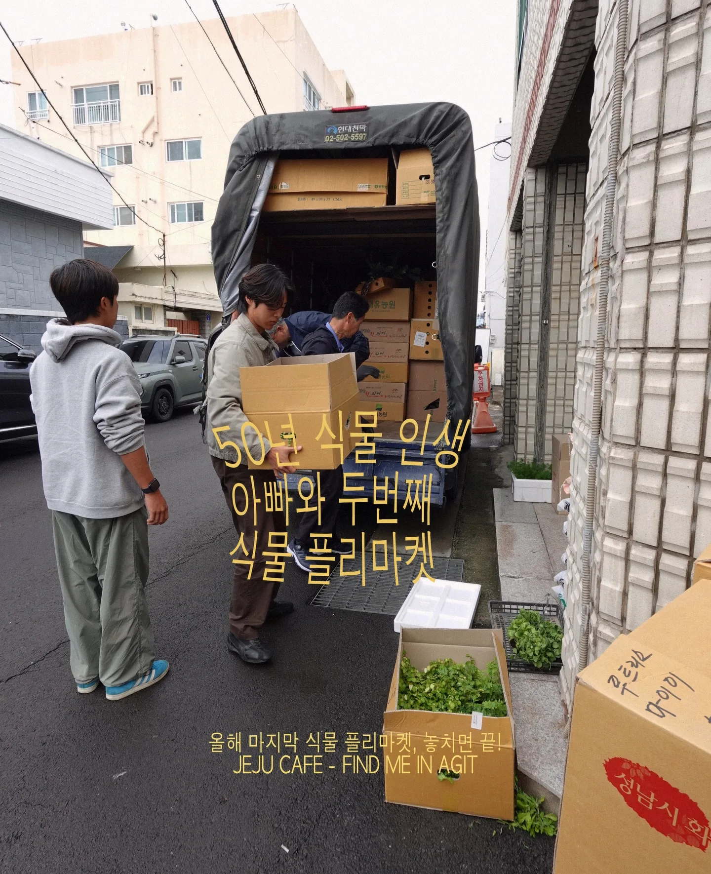 제2회 파인드미인아지트 식물 플리마켓