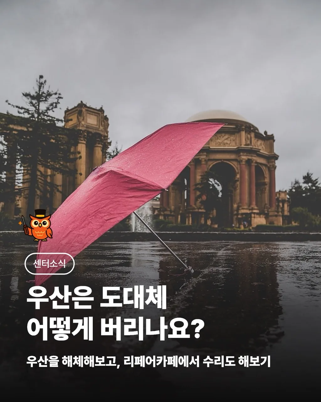 [제주시새활용센터] 우산 해체 체험