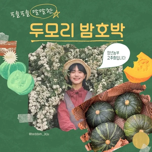 [한정판매]두모리 밤호박 2kg - 청년 농부 고주희님