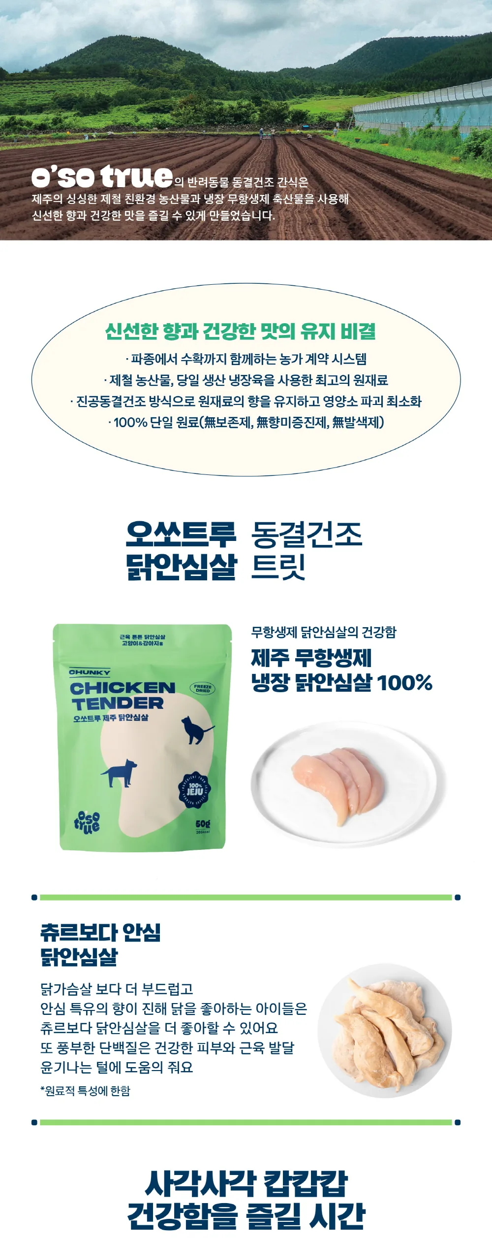 [오소트루] 제주 청키 닭안심살 동결건조 트릿 60g