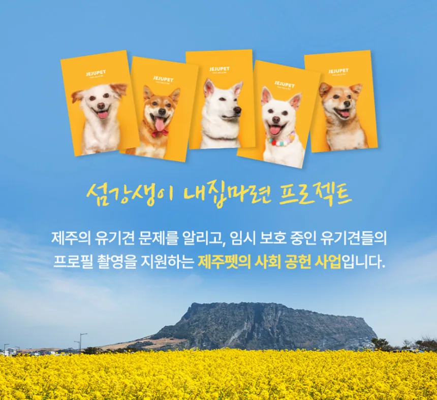 [제주펫] 옥돔짜요 강아지 고양이 짜먹는간식(10p)