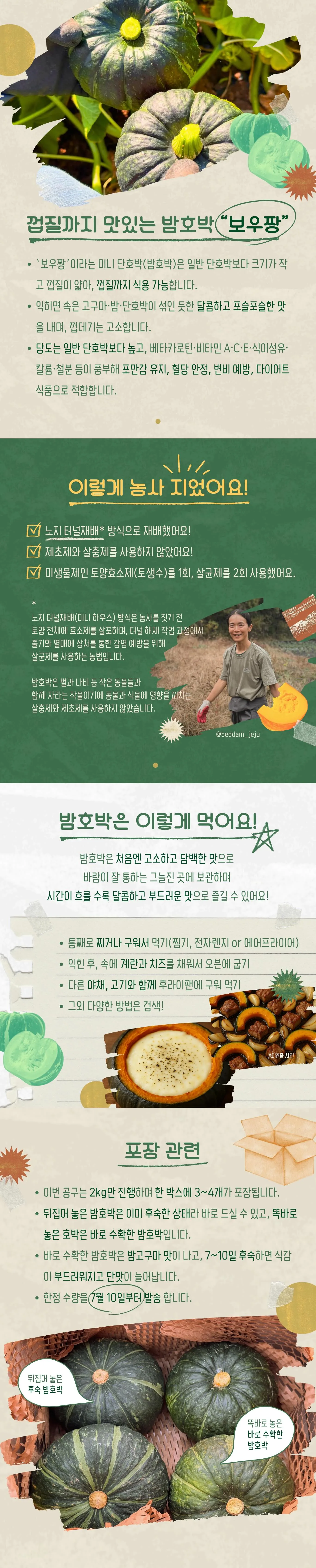 [한정판매]두모리 밤호박 2kg - 청년 농부 고주희님