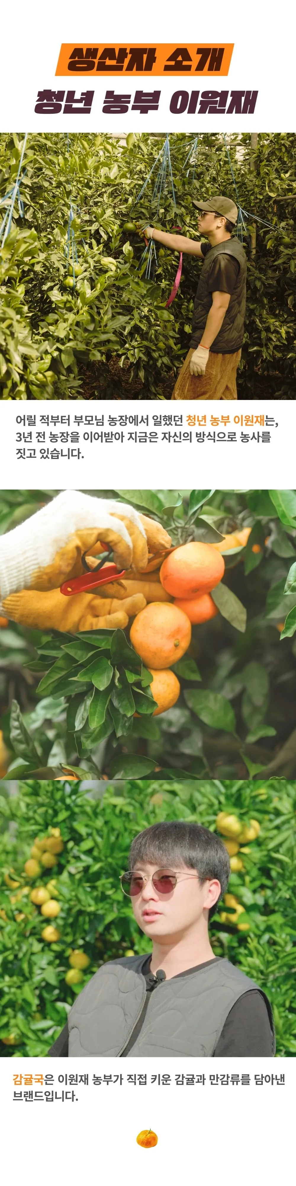 [공구]레드향 5kg, 3kg - 청년 농부 이원재님