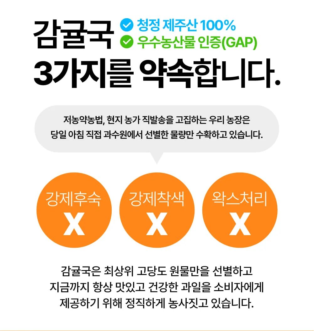 [공구]레드향 5kg, 3kg - 청년 농부 이원재님