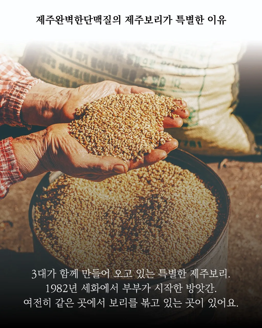 [한정판매]제주보리로 만든 고단백 식사대용 식단관리 쉐이크 제주완벽한단맥질(초코맛)
