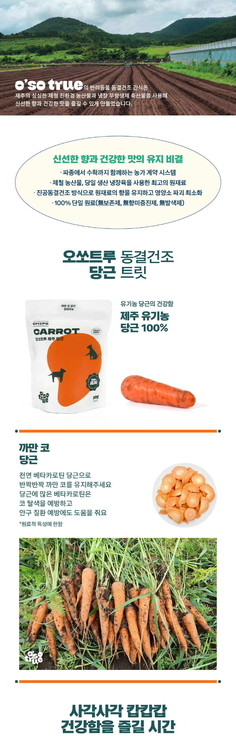 [오소트루] 제주 당근 칩 동결건조 트릿 30g