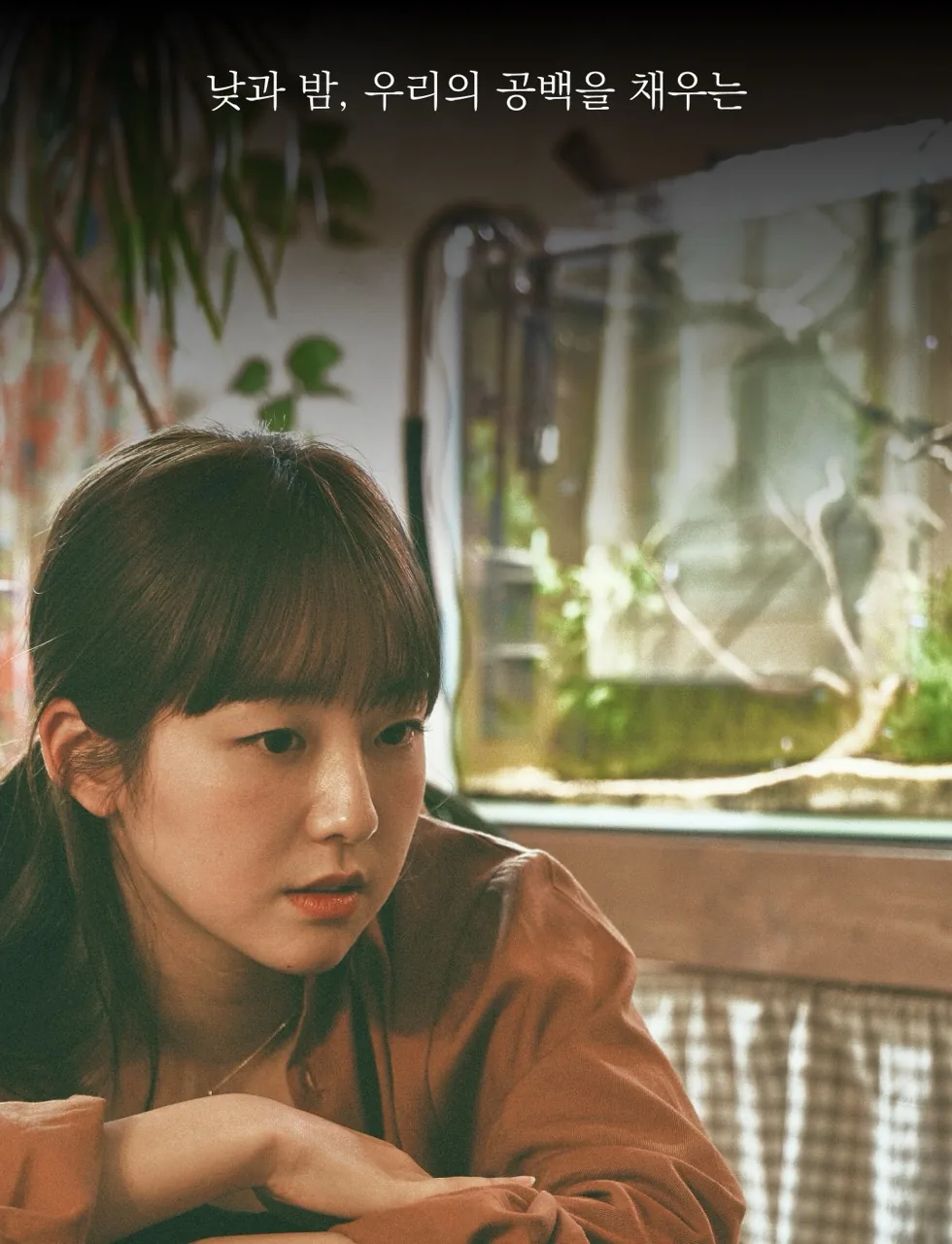 [한정판매]제주보리로 만든 고단백 식사대용 식단관리 쉐이크 제주완벽한단맥질(초코맛)