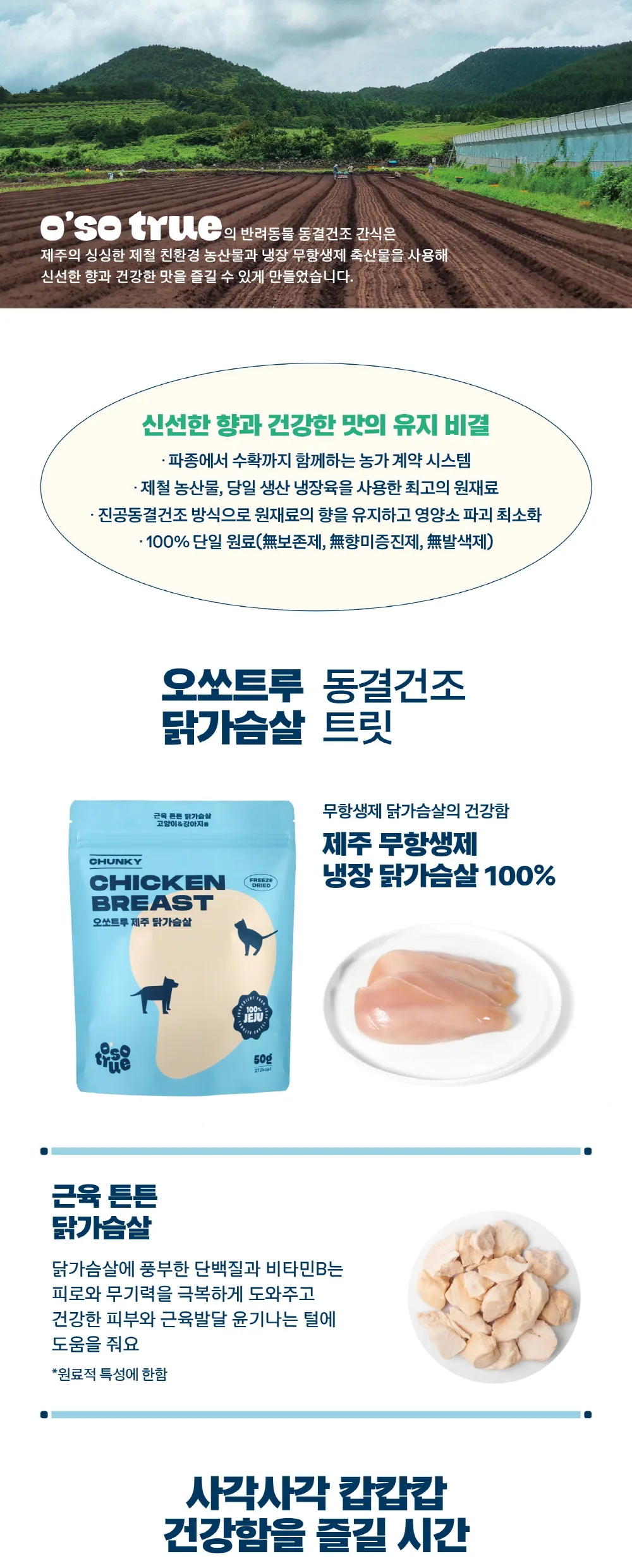 [오소트루] 제주 청키 닭가슴살 동결건조 트릿 60g