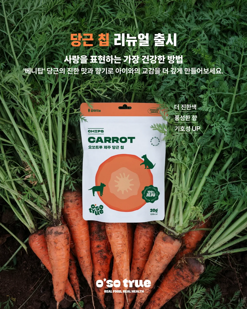 [오소트루] 제주 당근 칩 동결건조 트릿 30g