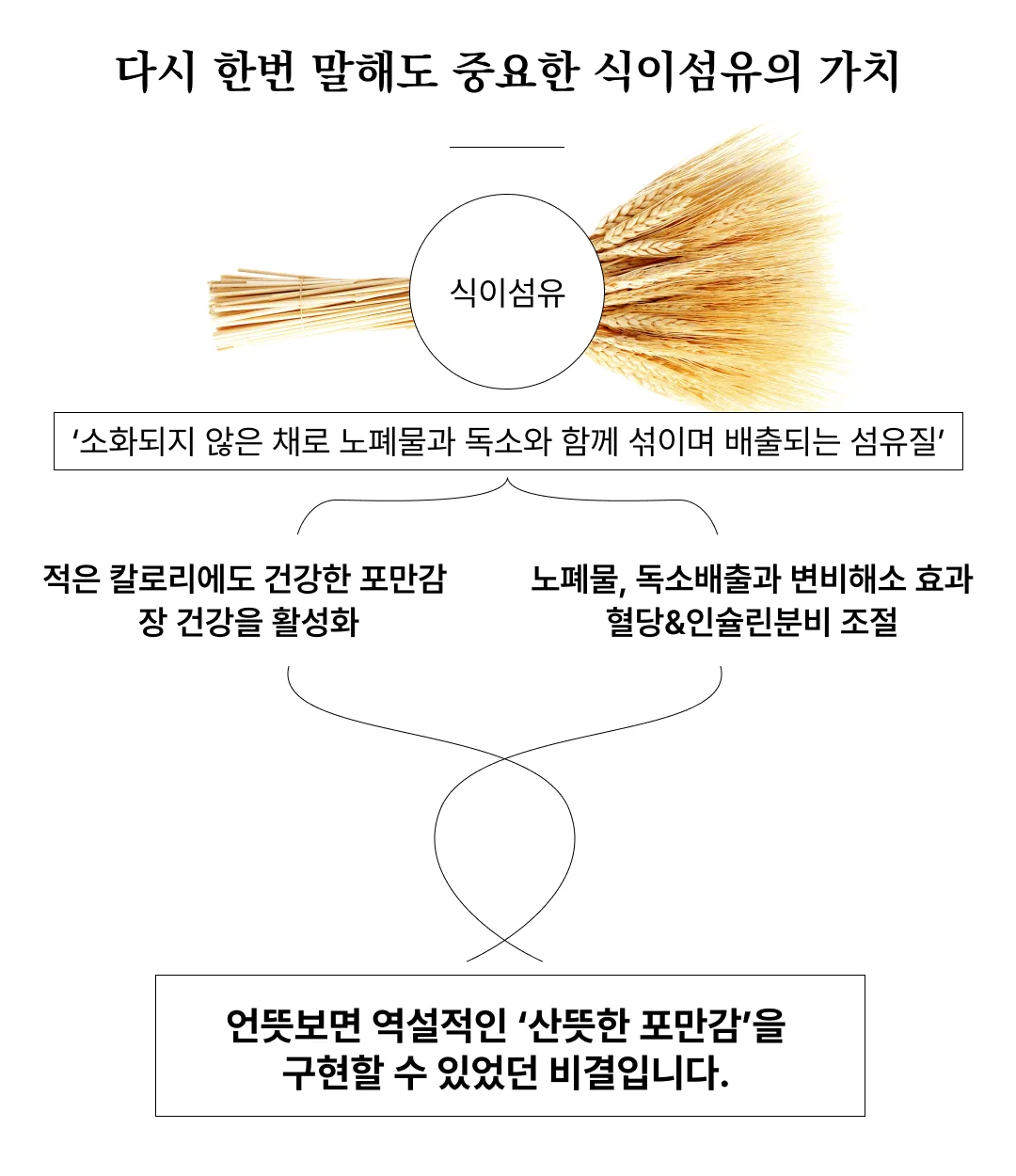 [한정판매]제주보리로 만든 고단백 식사대용 식단관리 쉐이크 제주완벽한단맥질(초코맛)