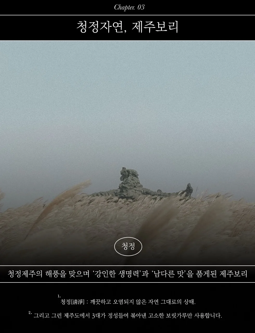 [한정판매]제주보리로 만든 고단백 식사대용 식단관리 쉐이크 제주완벽한단맥질(초코맛)